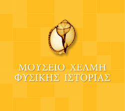 museum helmis logo